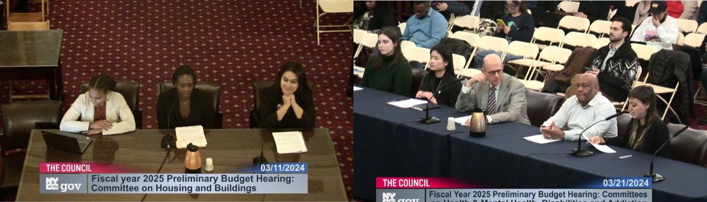 The Network Testifies at Three City Council Preliminary Budget Hearings image