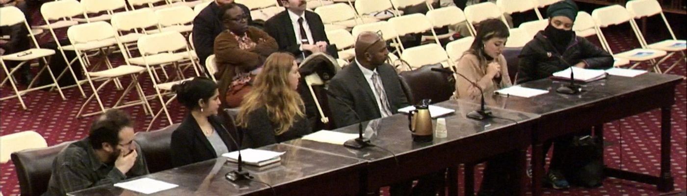 The Network Testifies at Two NYC Council Hearings image